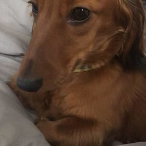 Meet your Posher, Seth